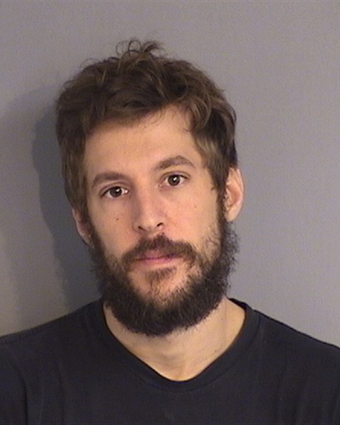 Booking photo - LUIS GUZMAN - Osceola, Florida