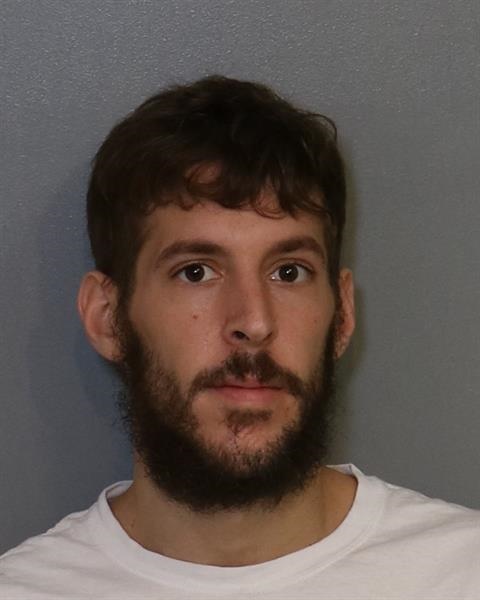 Booking photo - LUIS RAMON GUZMAN - Osceola, Florida