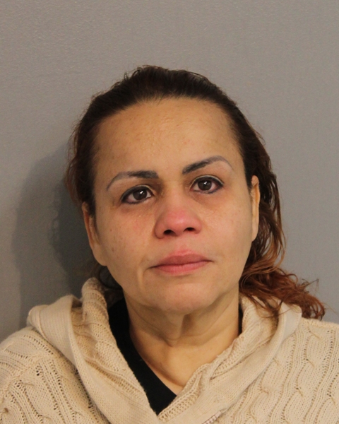 Booking photo of ANA JORGE