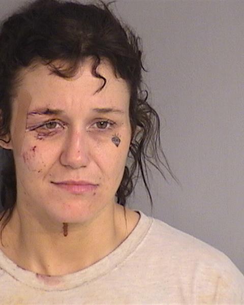 Booking photo - ANNIE KATHLEEN GOODWIN - Osceola, Florida