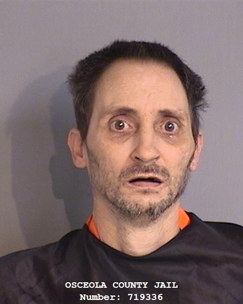 Booking photo - DALE ERNEST FOX - Osceola, Florida