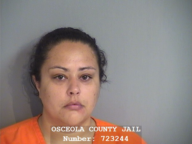 Booking photo - ANAMARIA ORTIZ-TORRES - Osceola, Florida