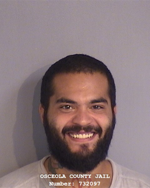 Booking photo - JUAN VELEZ - Osceola, Florida