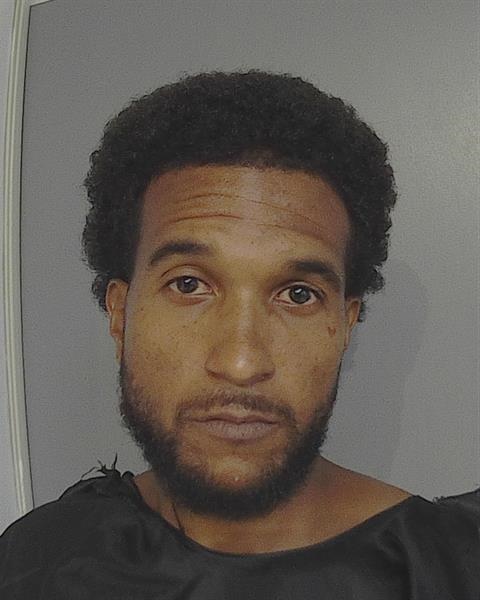 Booking photo - JOSE RAFAEL RIVERA-ROMAN - Osceola, Florida