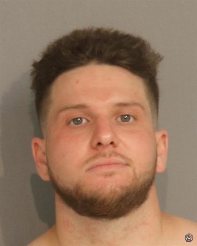 Booking photo - THIAGO GIGLI PEDROSO - Osceola, Florida