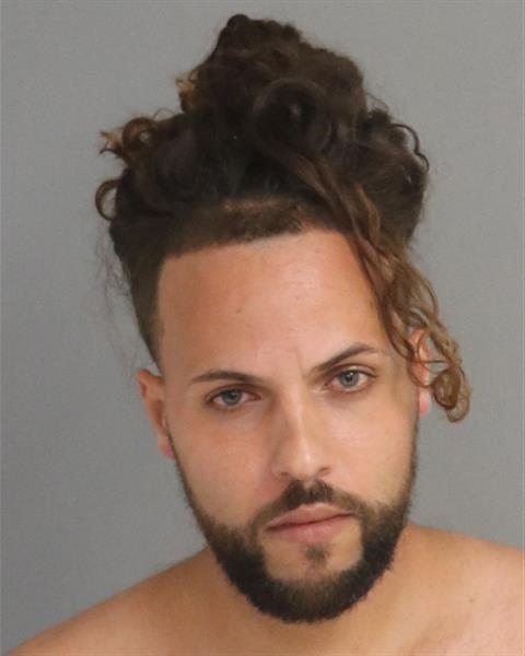 Booking photo - DANIEL ARNALDO FEBUS-CAMACHO - Osceola, Florida