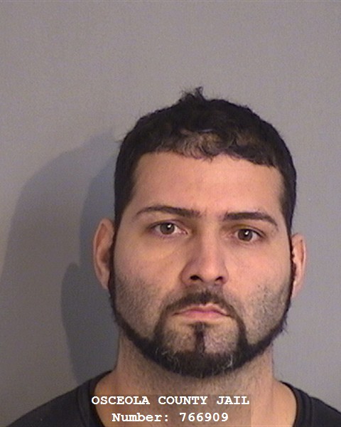 Booking photo - HENRY LORENZO - Osceola, Florida