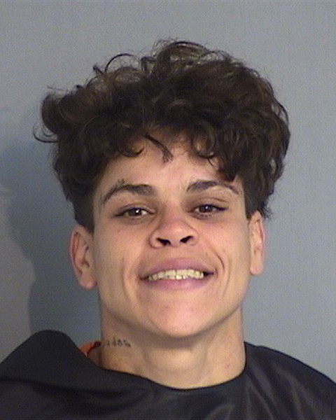 Booking photo - KARLA CASTILLO - Osceola, Florida