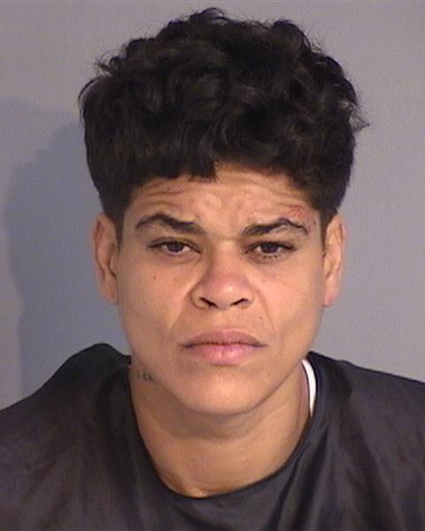 Booking photo - KARLA STEPHANIE CASTILLO - Osceola, Florida