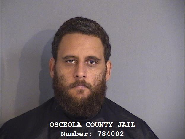 Booking photo - ANTHONY DAY - Osceola, Florida