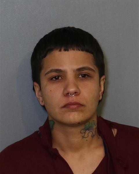 Booking photo - FRANCES ADNIL PEREZ-TORREGROSA - Osceola, Florida