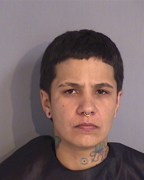 Booking photo - FRANCES PEREZ-TORREGROSA - Osceola, Florida