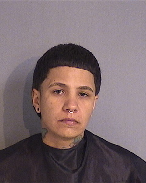 Booking photo - FRANCES PEREZ-TORREGROSA - Osceola, Florida