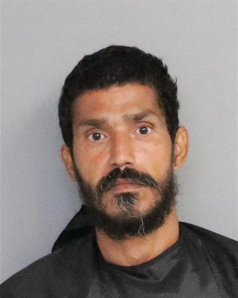 Booking photo - GELSON OVIDIO PEREZ-GARCIA - Osceola, Florida