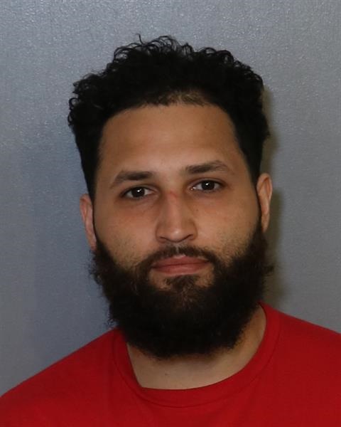 Booking photo - MIGUEL ANGEL GONZALEZ - Osceola, Florida