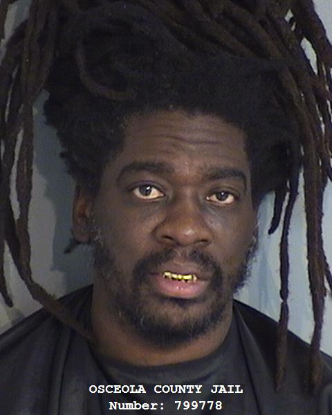 Booking photo - SAKHNOVSHY TYWAN WESTBERRY - Osceola, Florida