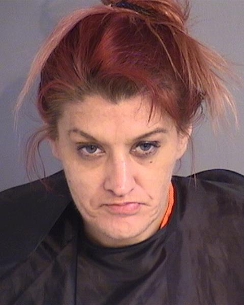 Booking photo - BRENDA LEANNE STILES - Osceola, Florida