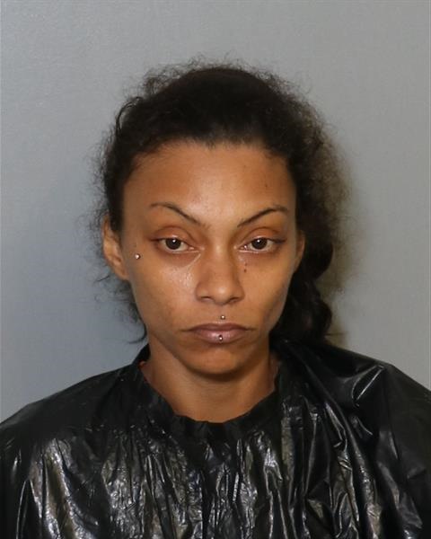 Booking photo - NICHA ARIZMENDI-DEJESUS - Osceola, Florida