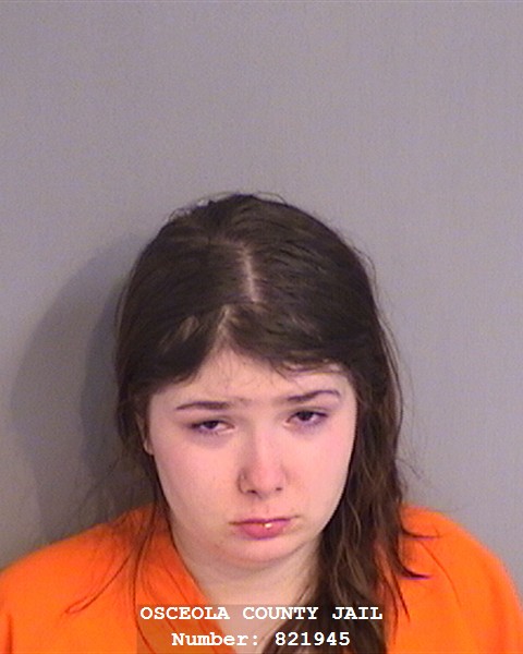 Booking photo - SARAH HAMILTON - Osceola, Florida
