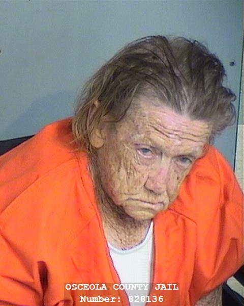 Booking photo - JOYCE GORMAN KELLOGG - Osceola, Florida