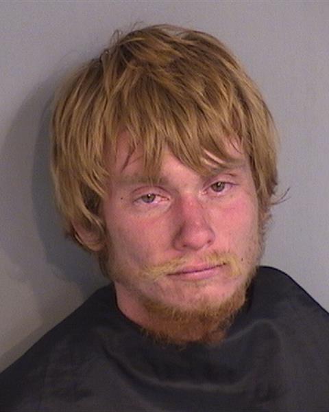 Booking photo - DARIUS EDWARD DIAL-KAPUSHY - Osceola, Florida