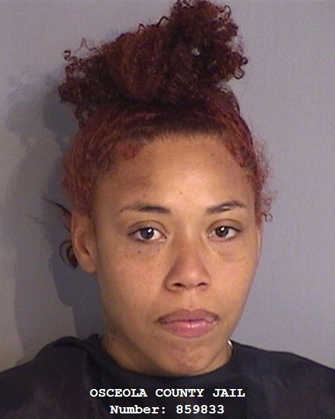 Booking photo - BRENDA COWARD - Osceola, Florida