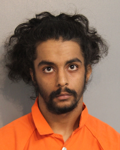 Booking photo of UNIQUE SIERRA