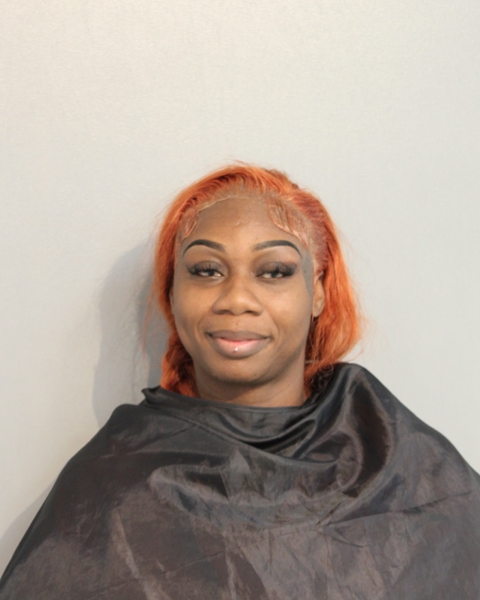 Booking photo - ALLISON NORMAN - Osceola, Florida