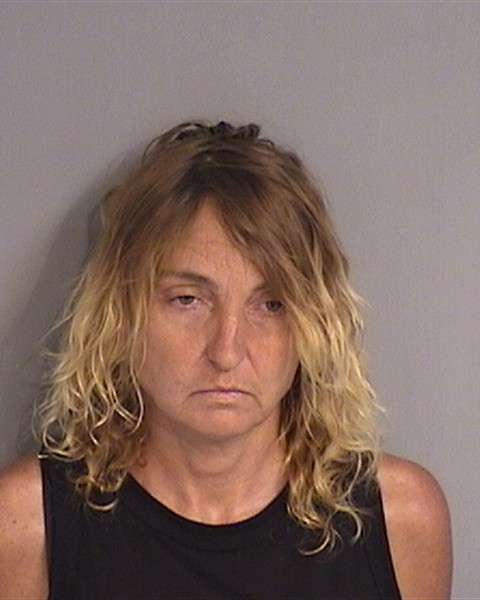 Booking photo - CRYSTAL RICHARDSON - Osceola, Florida