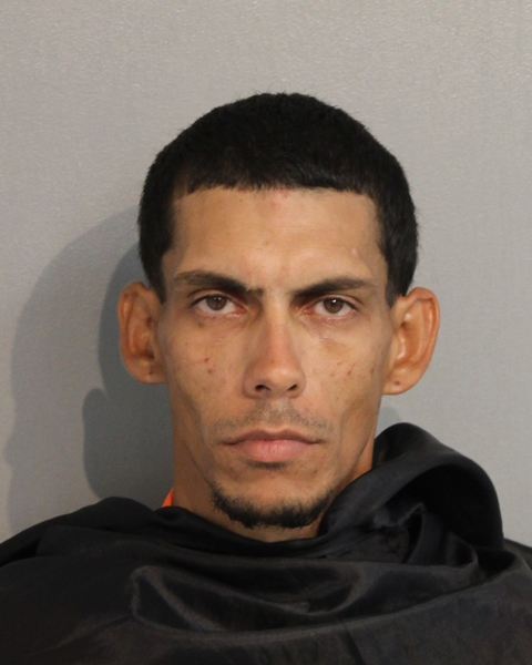 Booking photo - KEVIN HERNANDEZ-HERNANDEZ - Osceola, Florida