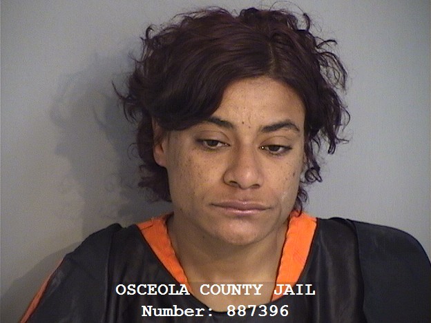Booking photo of NANCY COLON