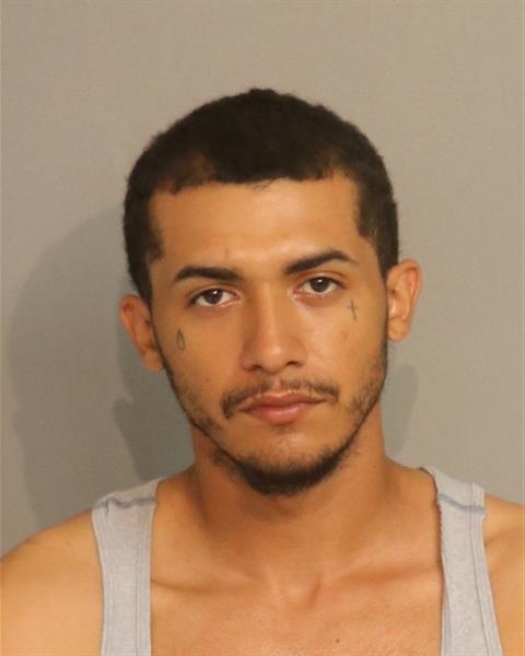 Booking photo - GIANCARLOS ALMONTE - Osceola, Florida