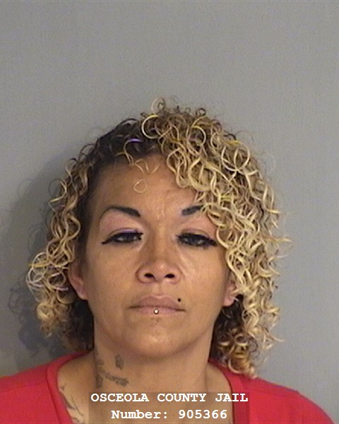 Booking photo - VIRGEN BAEZ - Osceola, Florida
