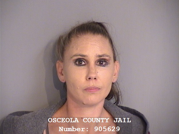 Booking photo - ANNA FAIN - Osceola, Florida