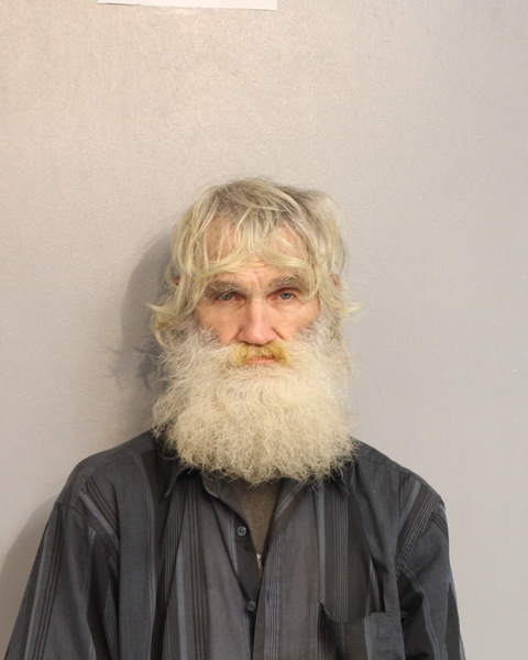 Booking photo of JOHN LEWIS