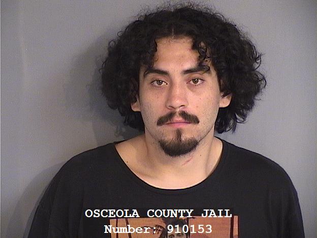 Booking photo - BRYANT STEVEN LOAIZA - Osceola, Florida