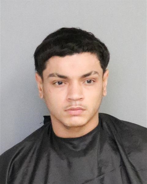 Booking photo - BRANDON NICHOLAS SINGH - Osceola, Florida