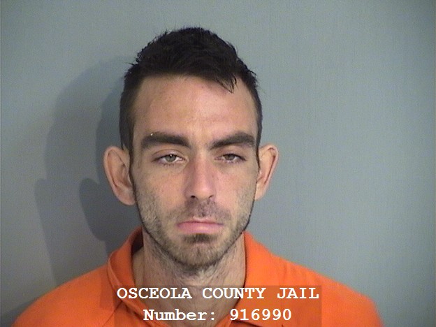 Booking photo - ERLEE ANDREWS - Osceola, Florida