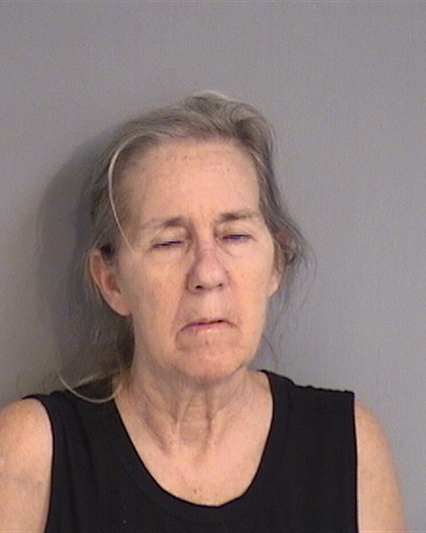 Booking photo - CAROL LOOMIS - Osceola, Florida