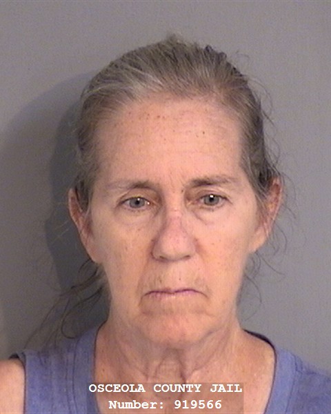 Booking photo - CAROL LOOMIS - Osceola, Florida
