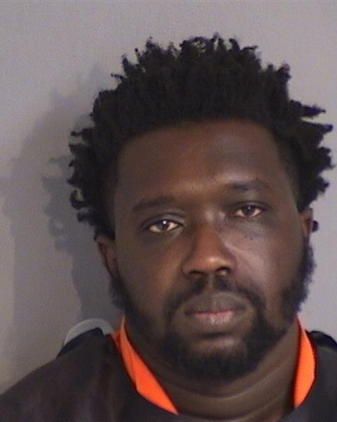 Booking photo - TAYLOR CHRISTIAN ROSEMAN - Osceola, Florida