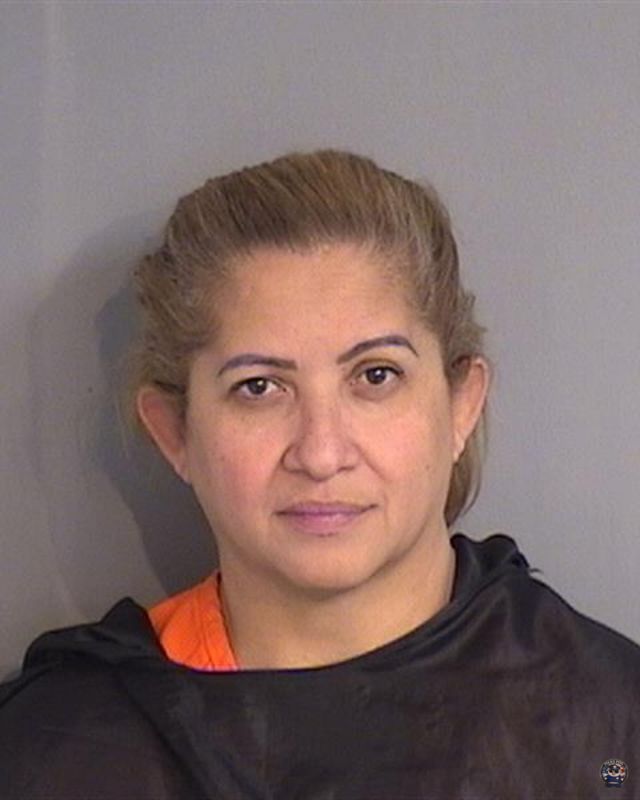 Booking photo - BRENDA LIZ CASTRO - Osceola, Florida