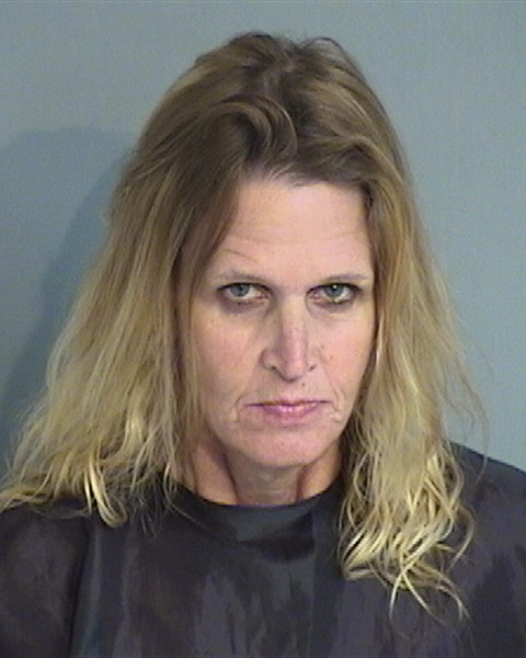 Booking photo - AMY MCDONALD - Osceola, Florida