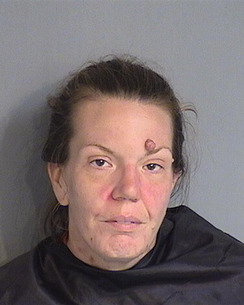 Booking photo - JESSICA GRACE RILEY - Osceola, Florida