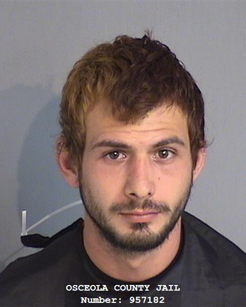 Booking photo - DYLAN THOMAS PROSSER - Osceola, Florida