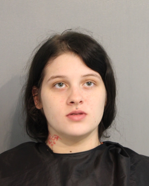 Booking photo of GABRIELLA ELIZABETH SANDER