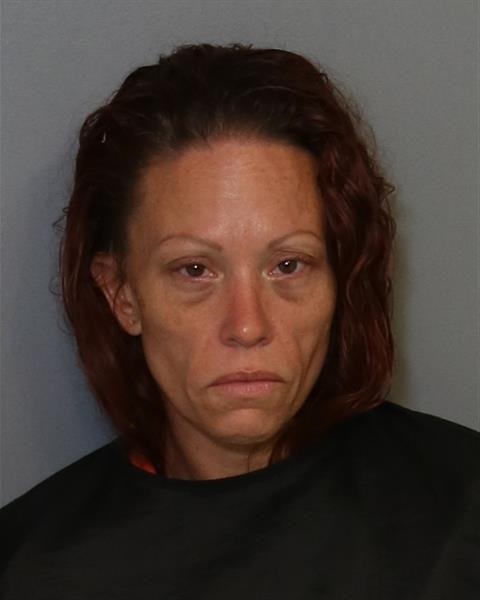 Booking photo - RENEE ELIZABETH BROWN - Osceola, Florida