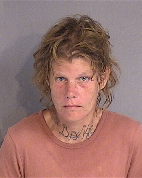 Booking photo - STACIE WALKER - Osceola, Florida