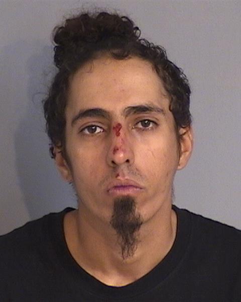 Booking photo - DAVID GARCIA - Osceola, Florida