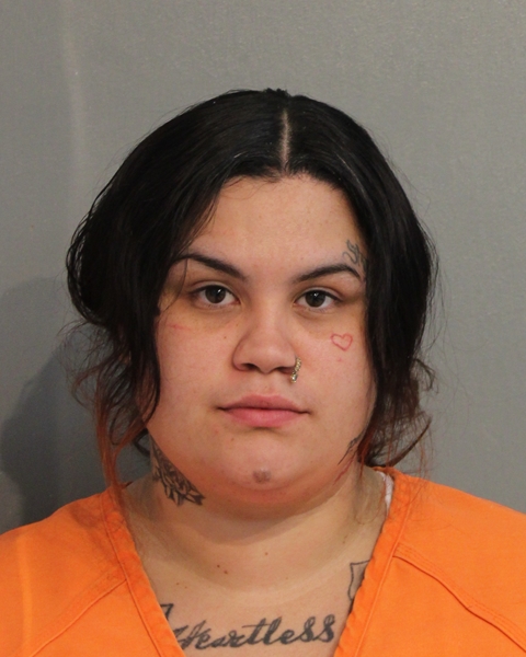 Booking photo - RUBY SKY ORTIZ - Osceola, Florida